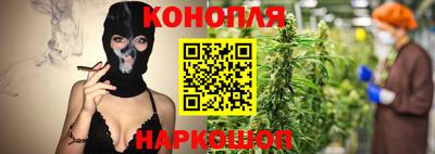 дживик Тверь