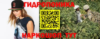 дживик Тверь